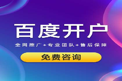 成功案例：SEM竞价托管的策略与效果